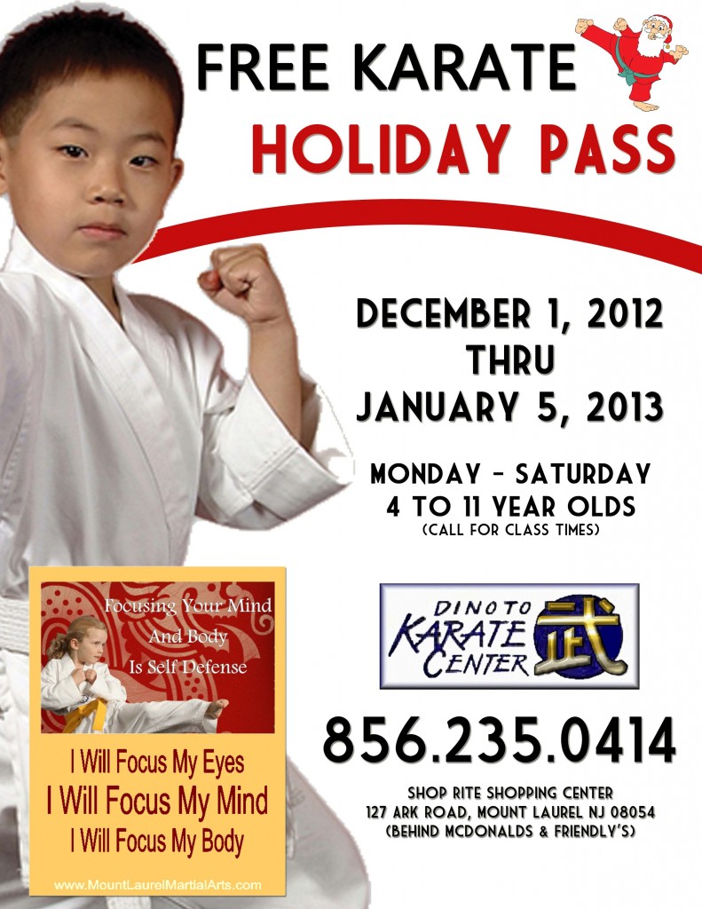 FREE KARATE CLASSES FOR THE HOLIDAYS! Print Holiday Pass Flyer