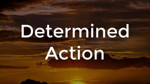 Determined-Action-1