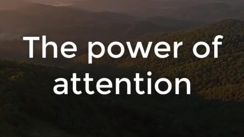 The-Power-Of-Attention