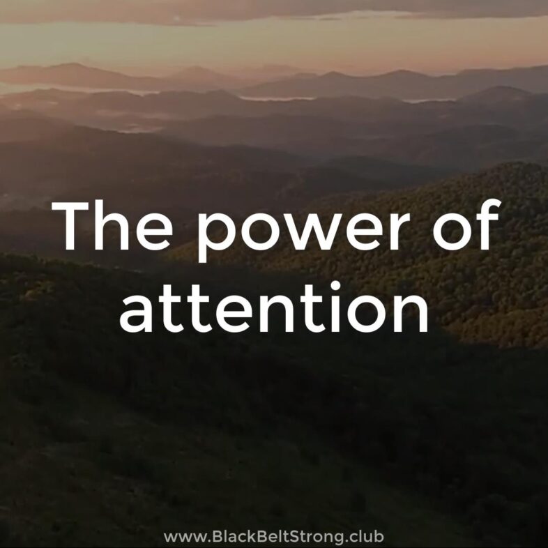 The-Power-Of-Attention
