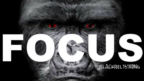 focus-release-the-beast