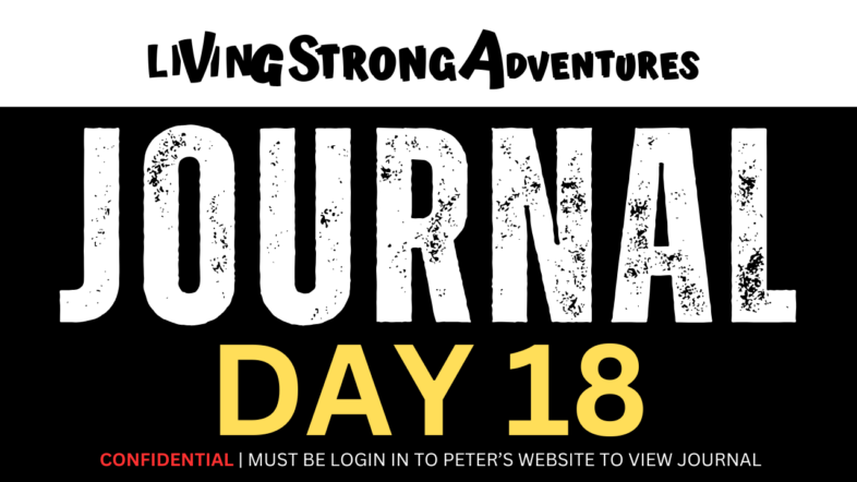 lsa journal (2)