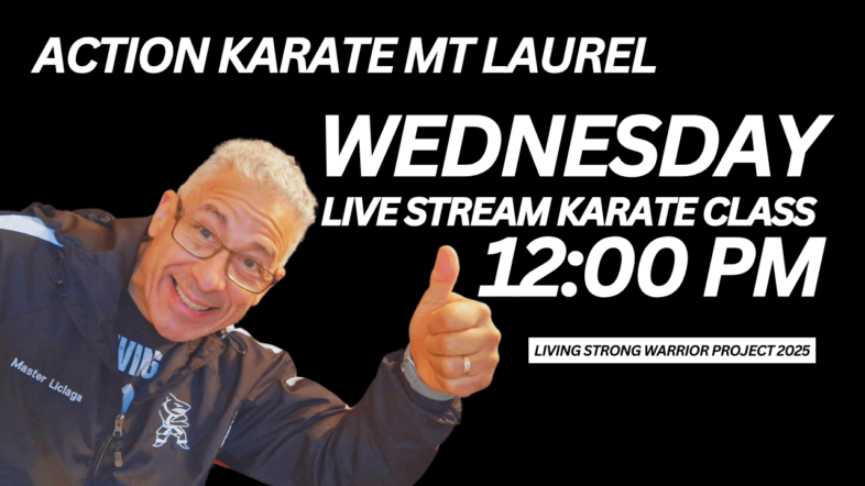 live stream karate training (2)