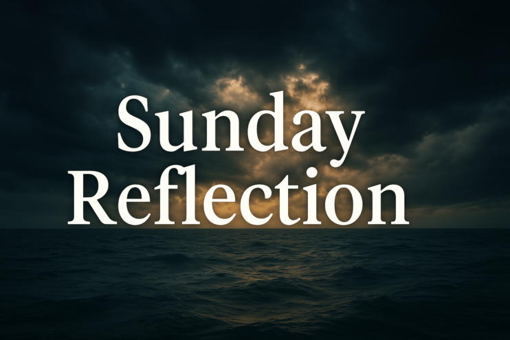 sunday reflection 4-13-25
